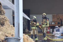 WhatsApp-Image-2024-09-18-at-09.31.10