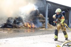 WhatsApp-Image-2024-09-18-at-09.31.11