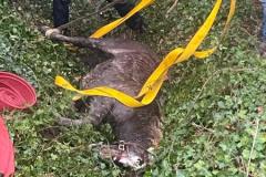 WhatsApp-Image-2024-12-21-at-16.29.07