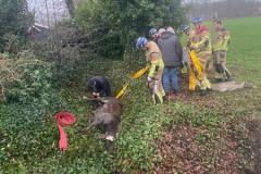 WhatsApp-Image-2024-12-21-at-16.29.08-1