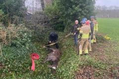 WhatsApp-Image-2024-12-21-at-16.29.08